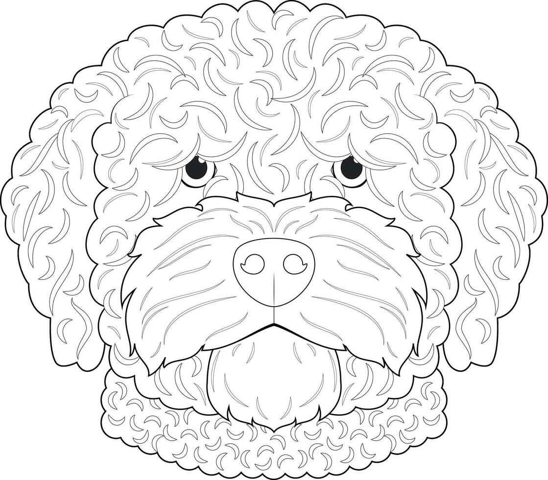 Spanish Water dog easy coloring cartoon vector illustration. Isolated on white background