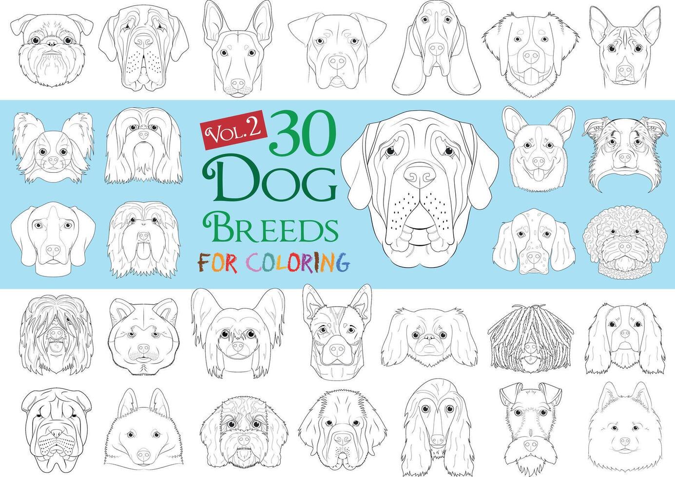 Dog Breeds Collection Volume 2. Set of 30 different dog breeds for coloring in cartoon style. vector