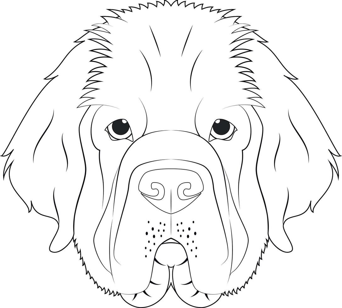 Newfoundland dog easy coloring cartoon vector illustration. Isolated on white background