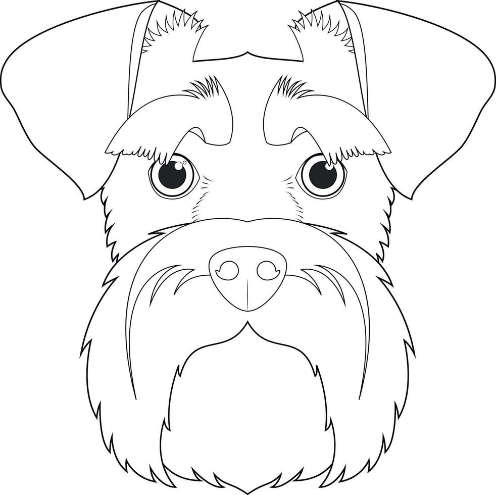 Schnauzer perro fácil colorante dibujos animados vector ilustración. aislado en blanco antecedentes