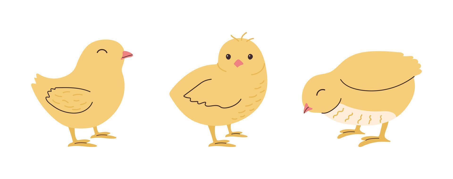 Cute hand drawn chicken set. Funny yellow kawaii Chick in different poses for holiday decoration. Cute bird in doodle style foe Easter postcard. vector