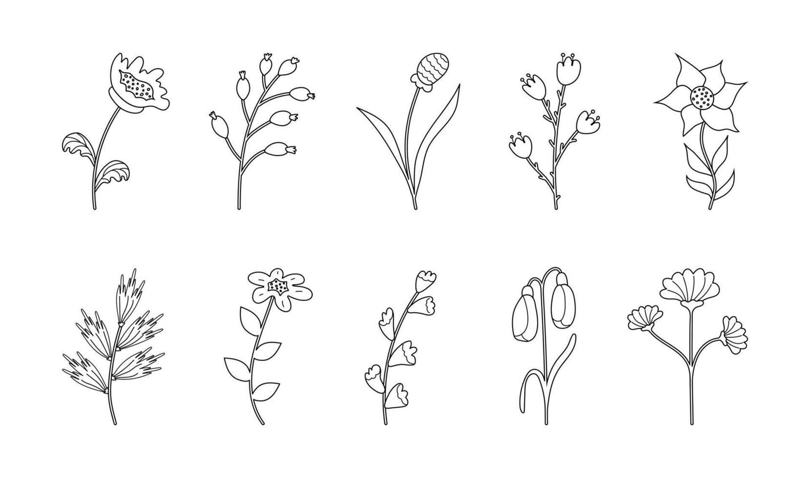 Set of sketches of black spring Flowers isolated on a white background. Hand drawn Outline of plant buds and leaves for decoration. vector