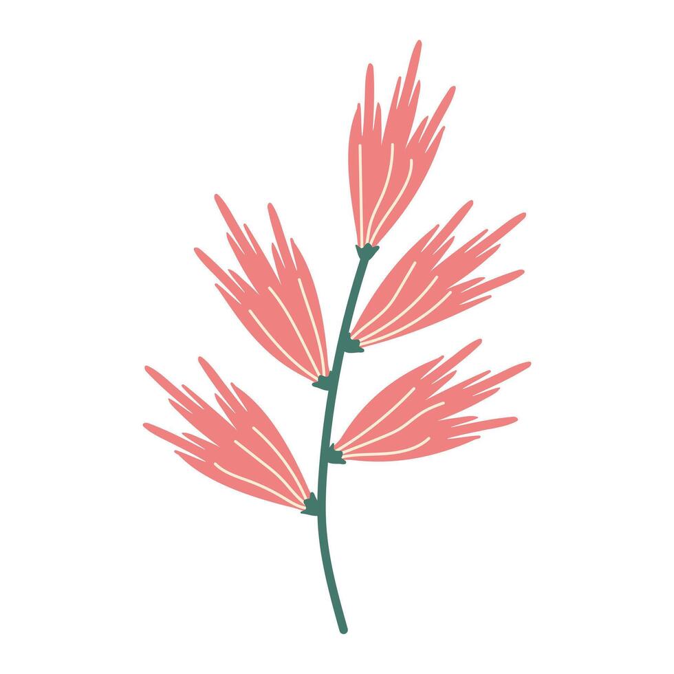 Hand-drawn blooming plant flat simple design. Doodle pink flower isolated on transparent background. Decorative Blossoming spring wildflower. Botanical summer hand drawn cards or posters element. vector