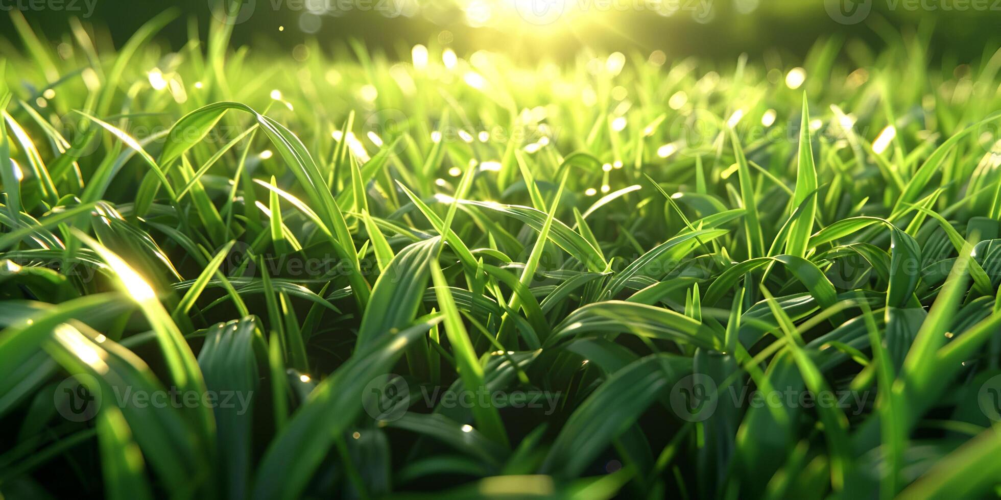 AI generated magic spring background with copy space Realistic green grass, nature and sunlight banner background Green grass christmas bokeh lights photo