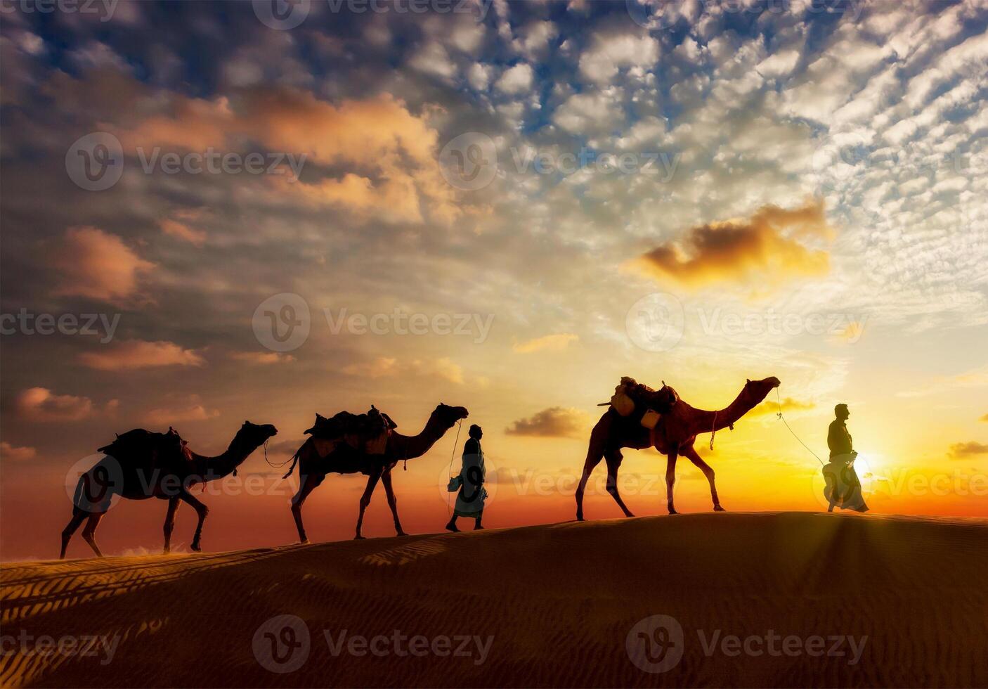 Two cameleers camel drivers with camels in dunes of Thar deser photo