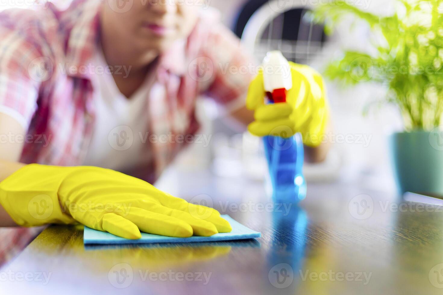 Housewife in yellow gloves wipes dust using spray detergent and rag photo