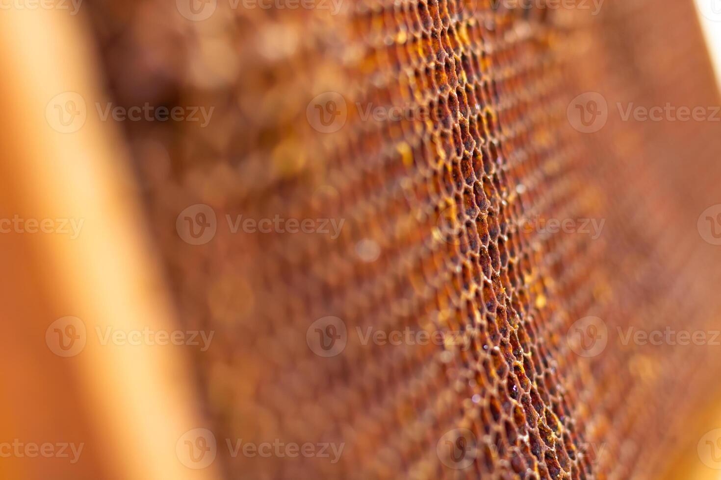 Extreme close up view of a honeycomb and cells. Apiculture or beekeeping concept photo