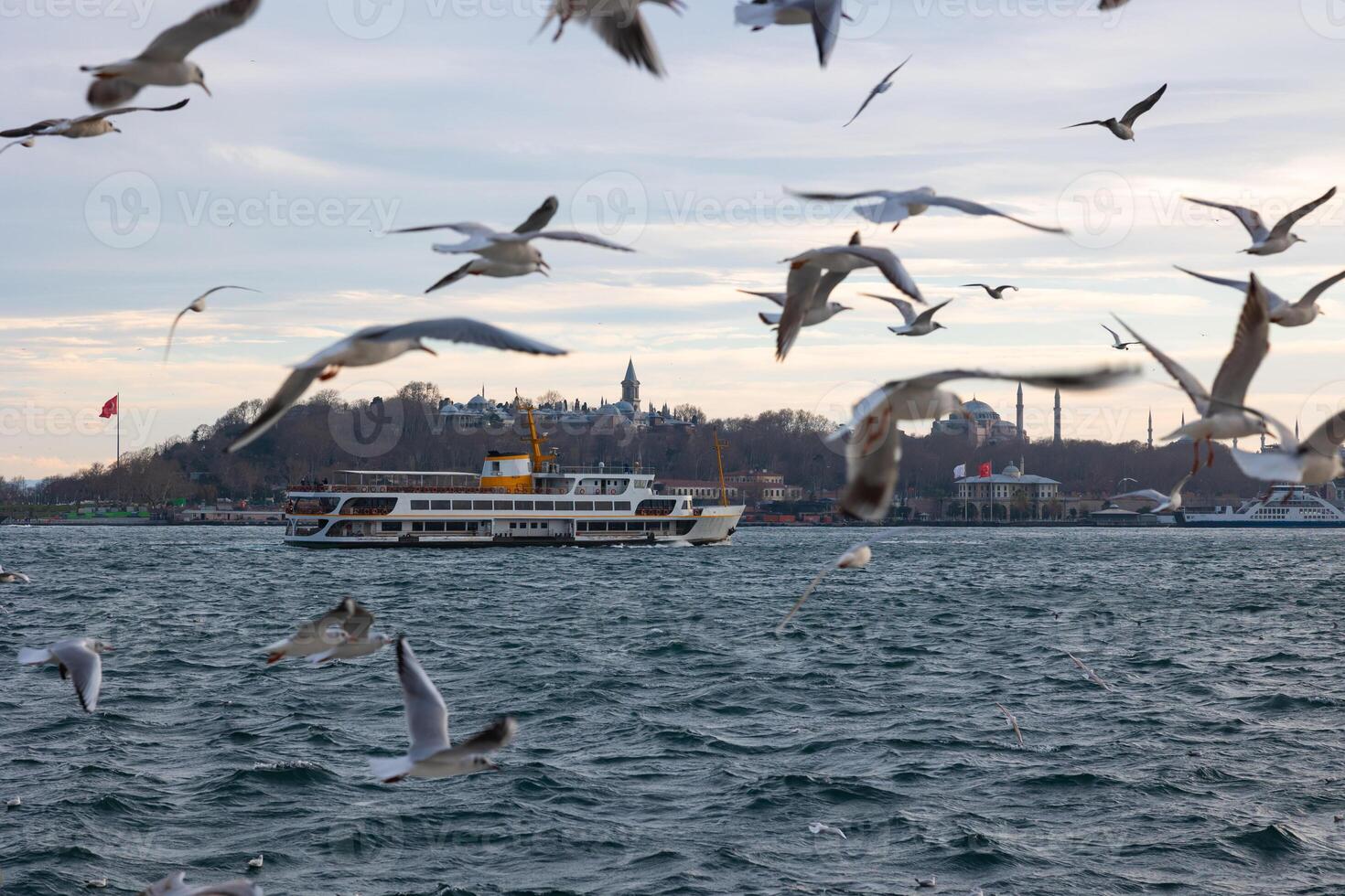 Istanbul background photo. Ferry and seagulls photo