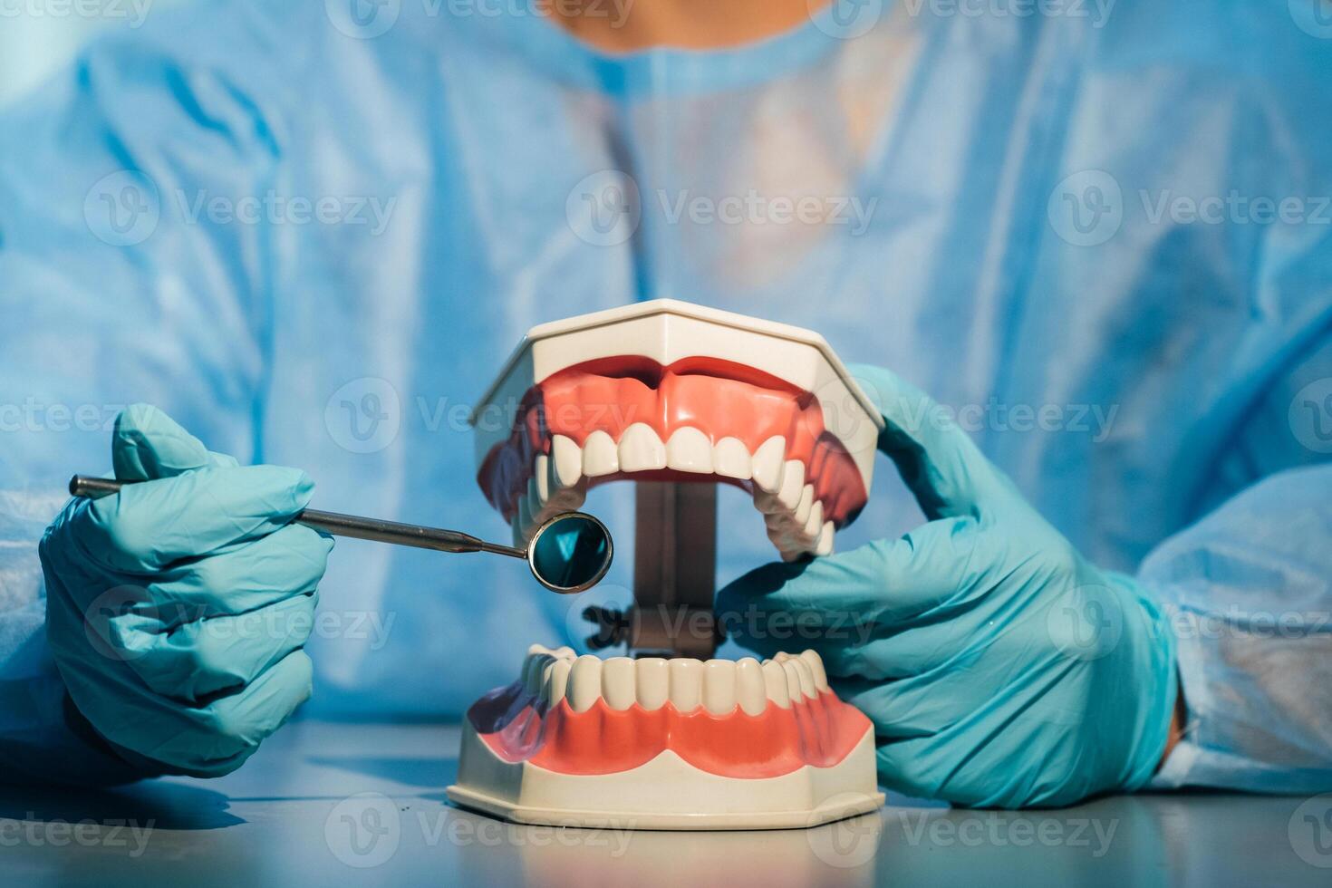 A dental doctor wearing blue gloves and a mask holds a dental model of the upper and lower jaws and a dental mirror photo