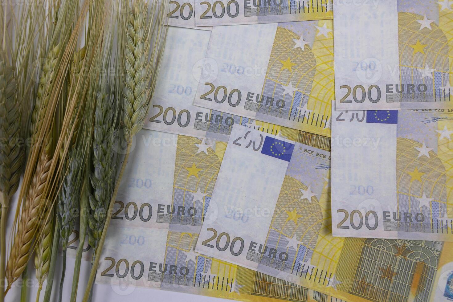 comida inflación en europeo Unión concepto. trigos y euros foto