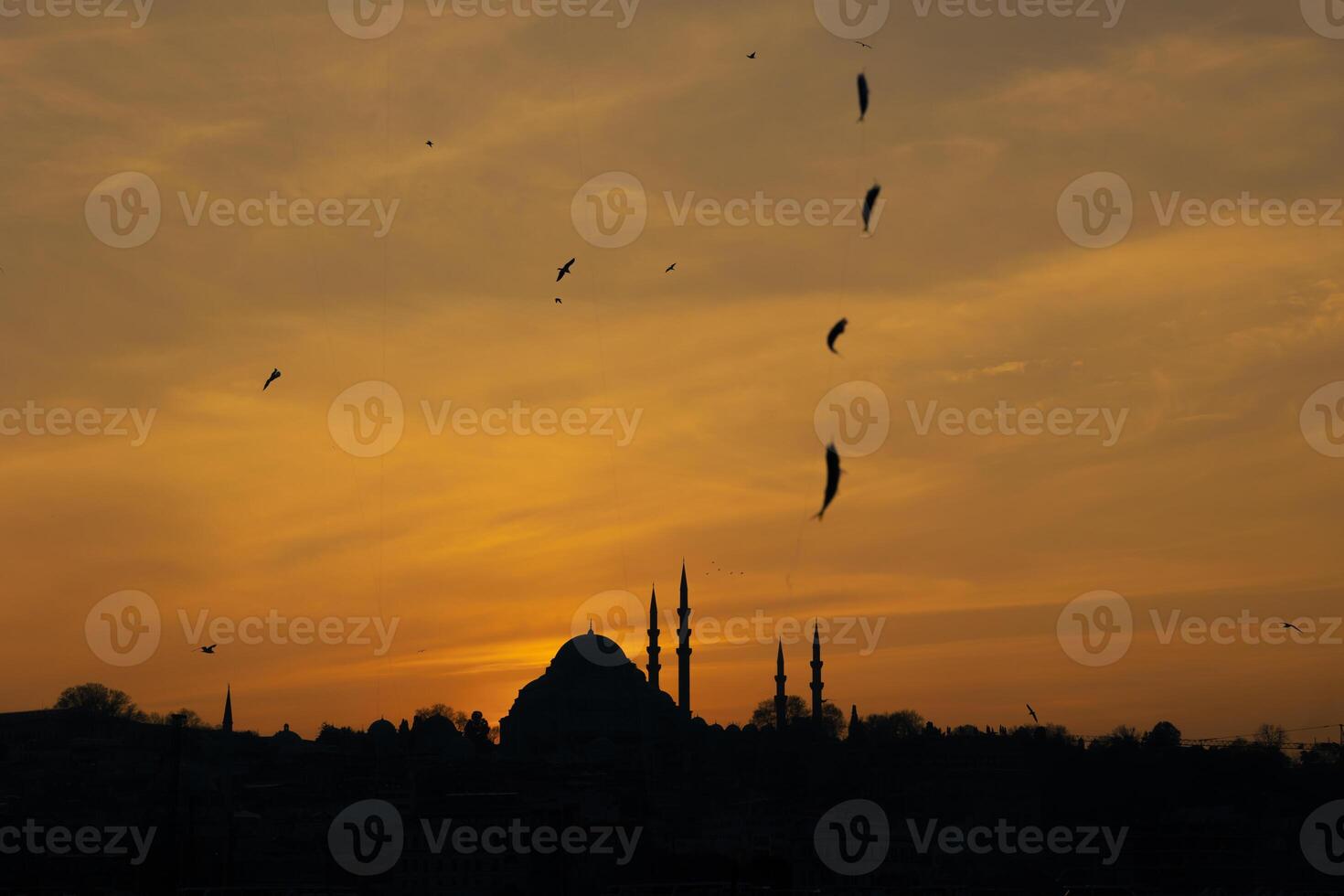 silueta de suleymaniye mezquita y peces en el pescar línea foto