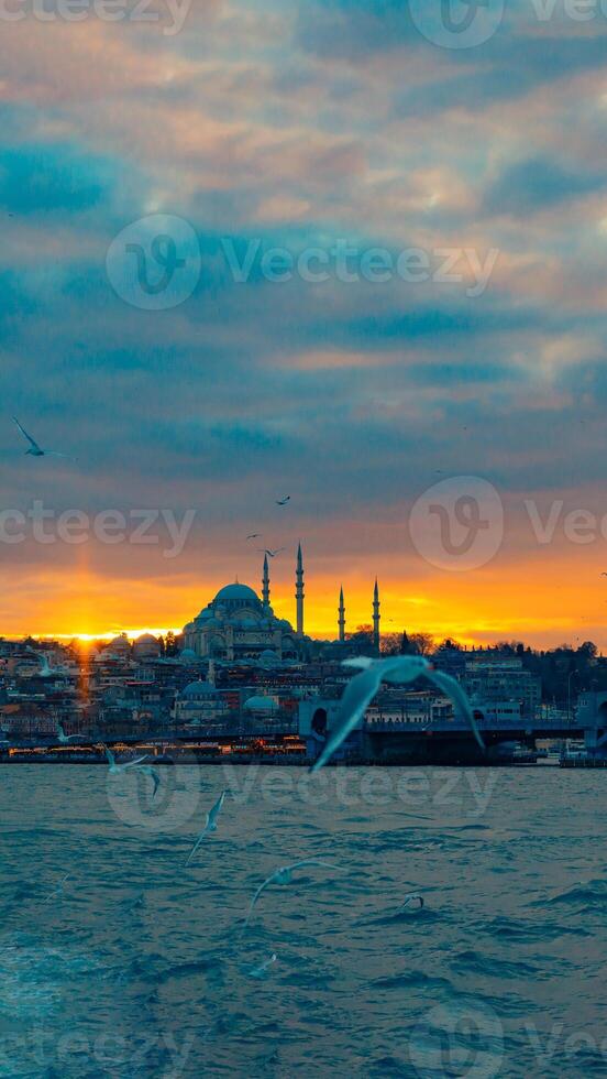 Gaviota y suleymaniye mezquita ver a puesta de sol. Estanbul vertical foto