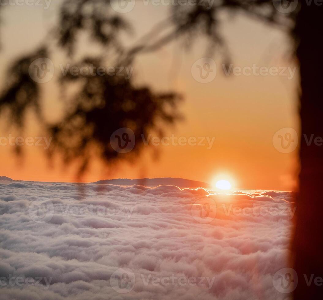 a spectacular sunset above the clouds in the national Park of the volcano Teide on Tenerife. Excellent sunset in the Canary Islands photo