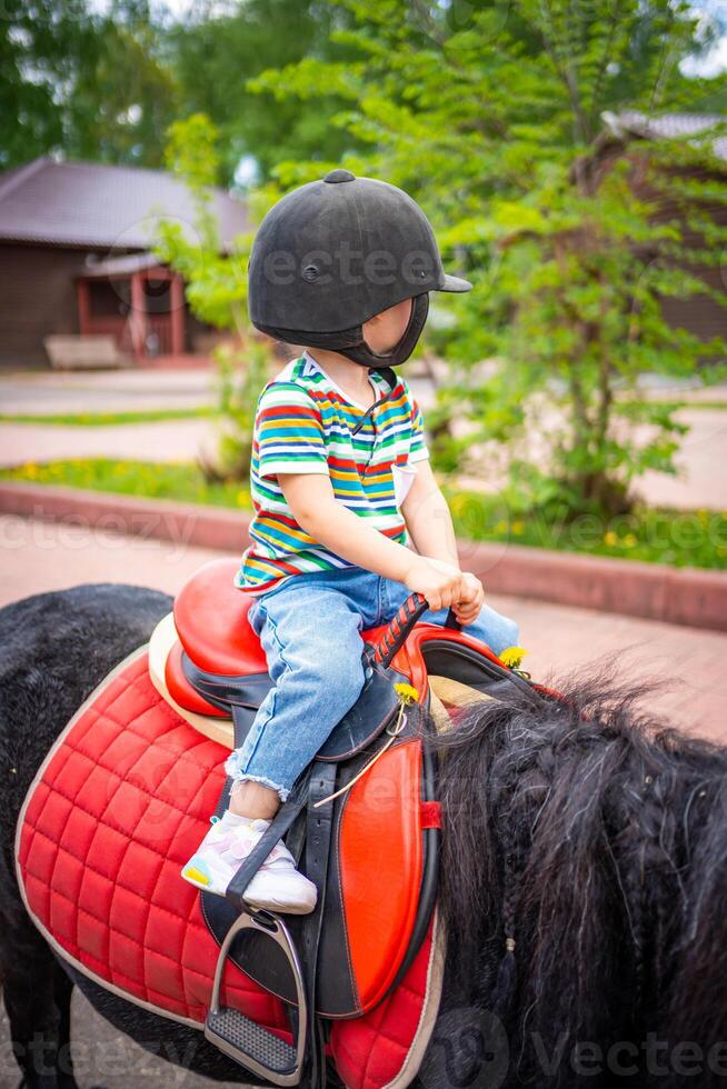 Beautiful little girl two years old riding pony horse in big safety jockey helmet posing outdoors on countryside photo