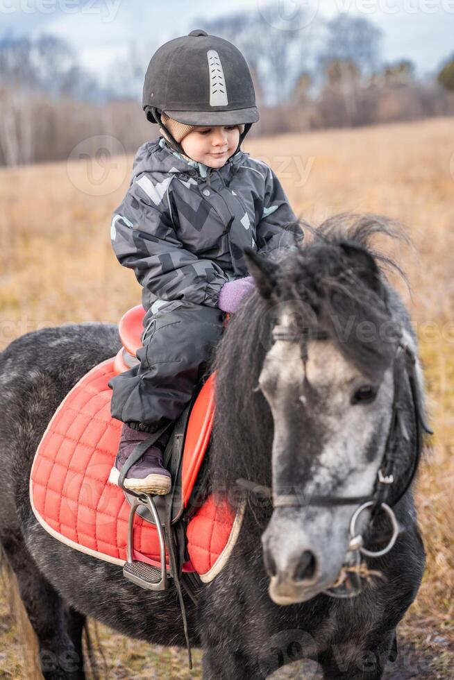 pequeño niña montando un pequeño poni en campo en el invierno. pasatiempo concepto foto