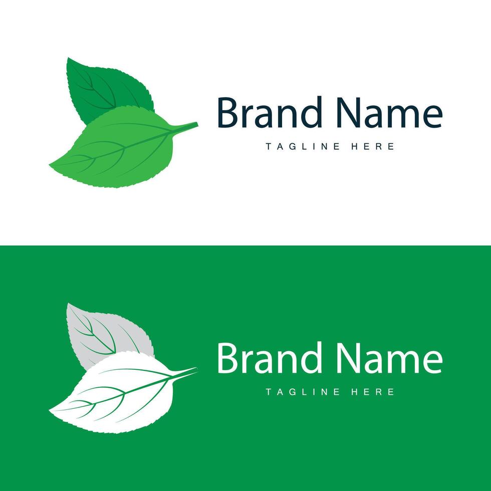 Green Leaf logo vector natural plant nature design icon leaf template illustration