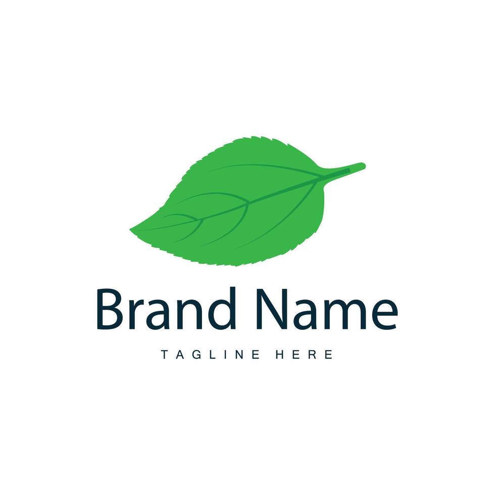 Green Leaf logo vector natural plant nature design icon leaf template illustration