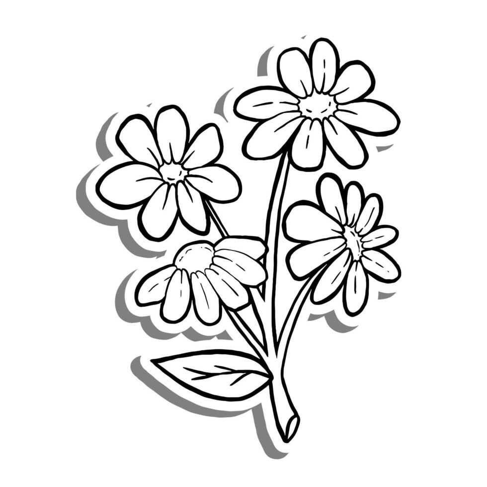 Black line Four Daisies with Leaves on white silhouette and gray shadow. Hand drawn cartoon style. Vector illustration for decorate, coloring and any design.