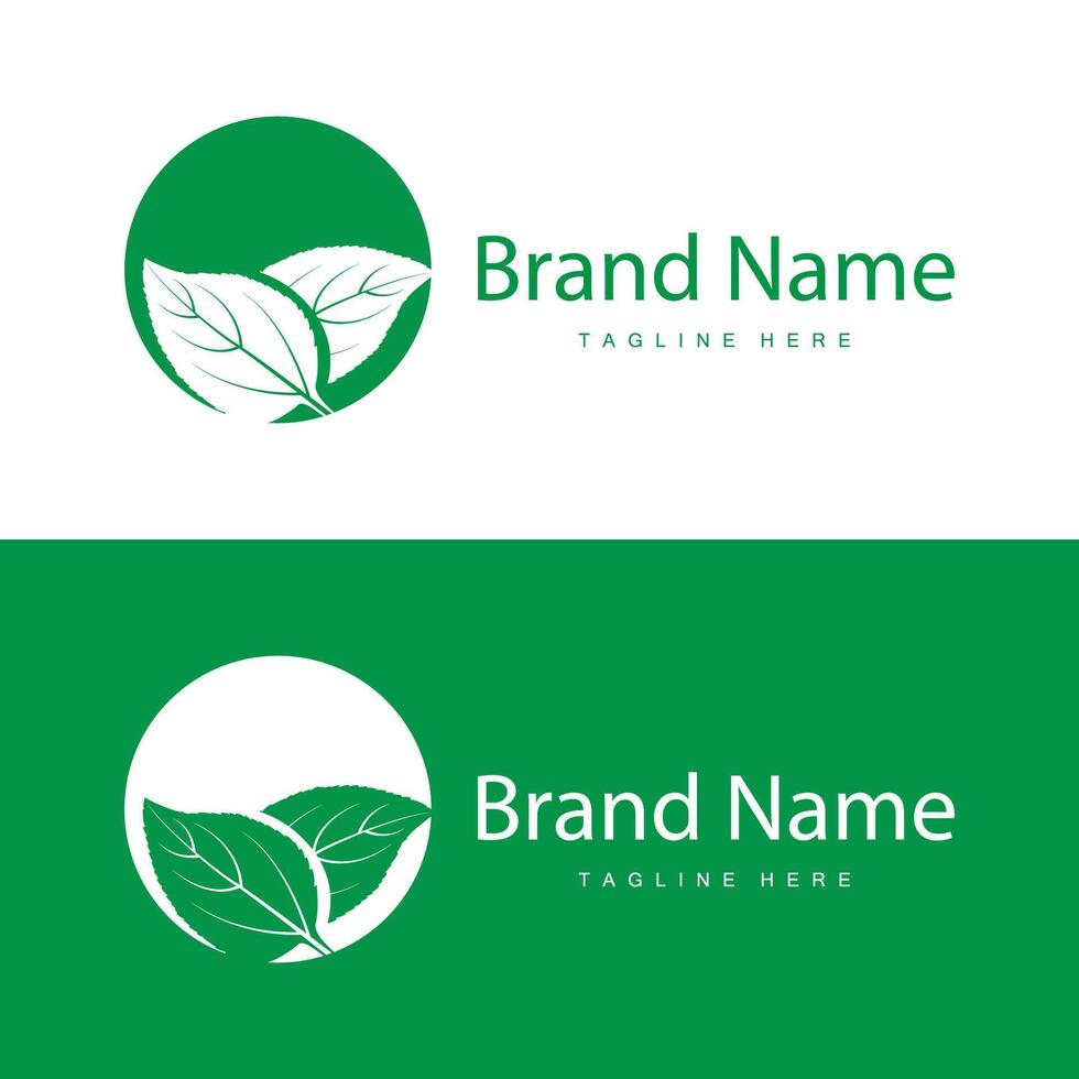 Green Leaf logo vector natural plant nature design icon leaf template illustration