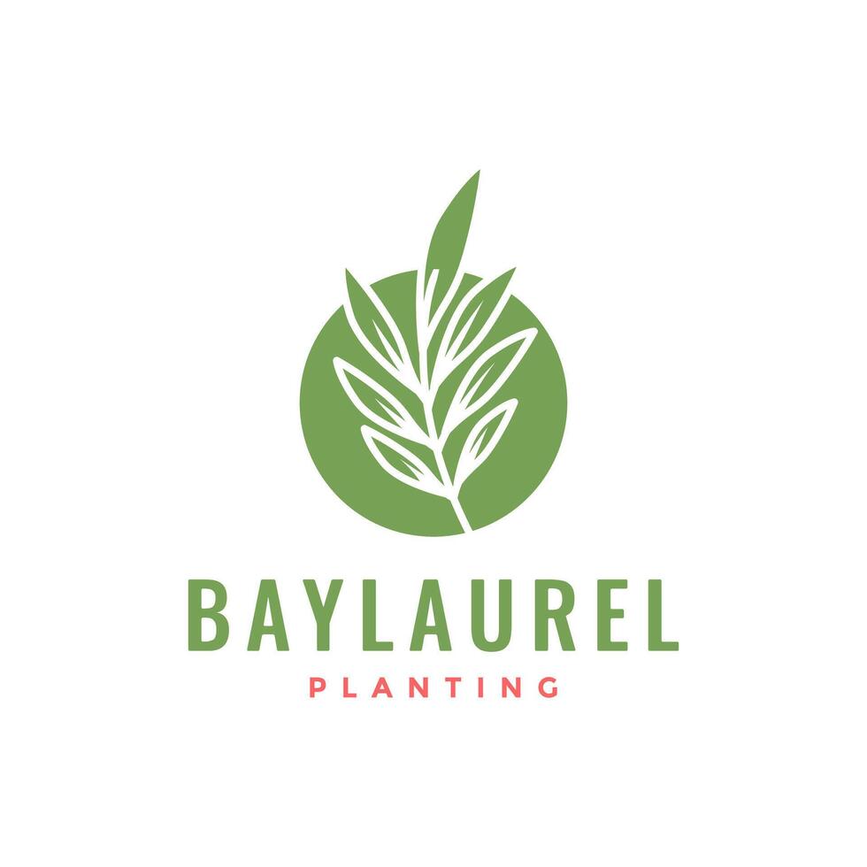 leaf bay laurel with circle simple plant florist botanical logo design vector icon illustration