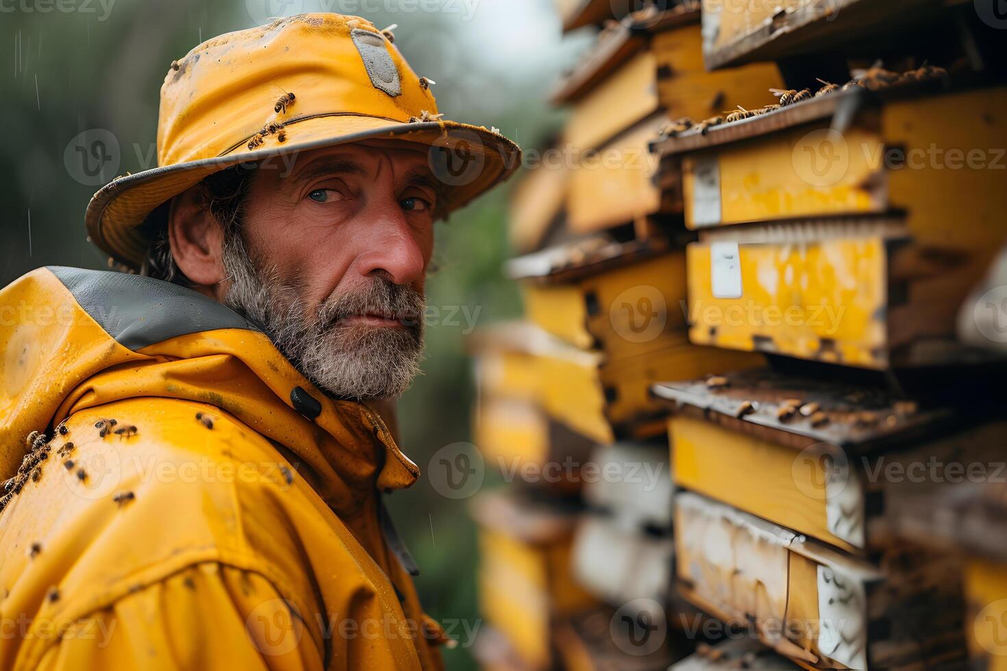 AI generated A beekeeper against the background of beehives on a apiary. Beekeeping, wildlife and ecology concept. Close-up man portrait, spring and summer background with copy space. photo