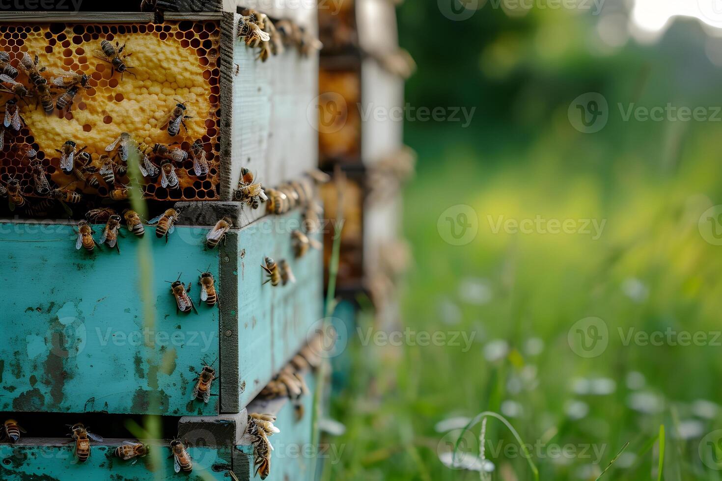 AI generated Honey bees working with honeycomb on the beehive. Close-up banner, spring and summer background. Beekeeping, wildlife and ecology concept with copy space. photo
