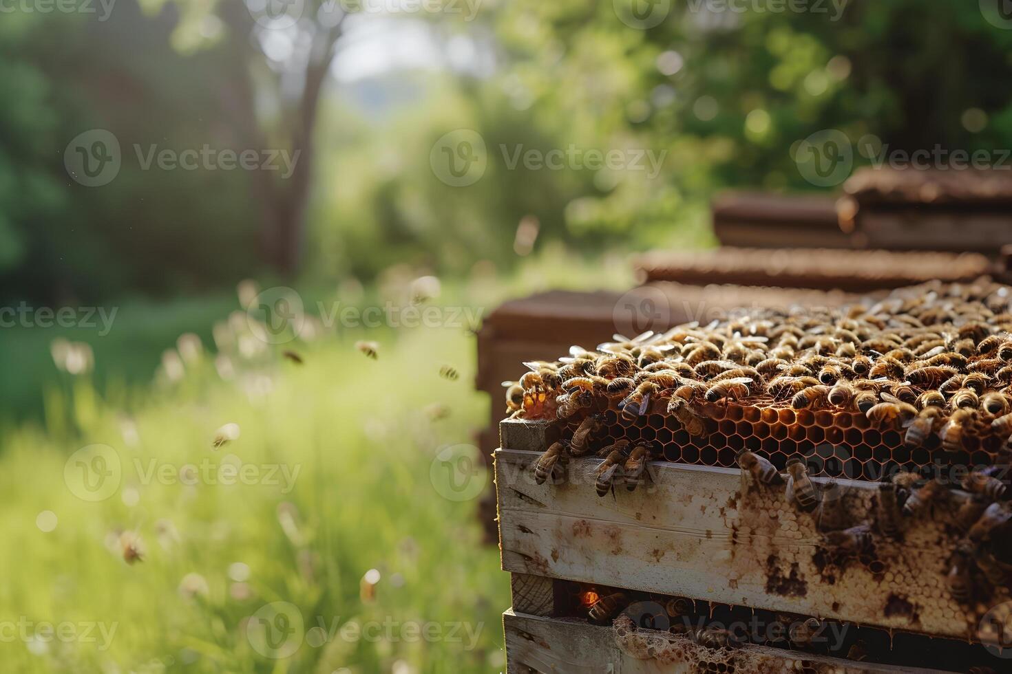 AI generated Honey bees working with honeycomb on the beehive. Close-up banner, spring and summer background. Beekeeping, wildlife and ecology concept with copy space. photo