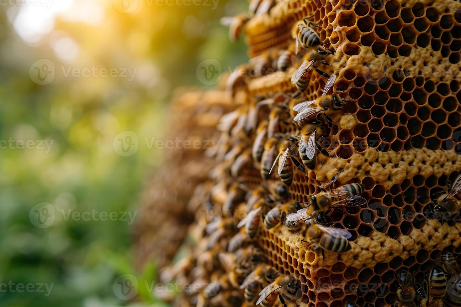 AI generated Honey bees working with honeycomb on the beehive. Close-up banner, spring and summer background. Beekeeping, wildlife and ecology concept with copy space. photo