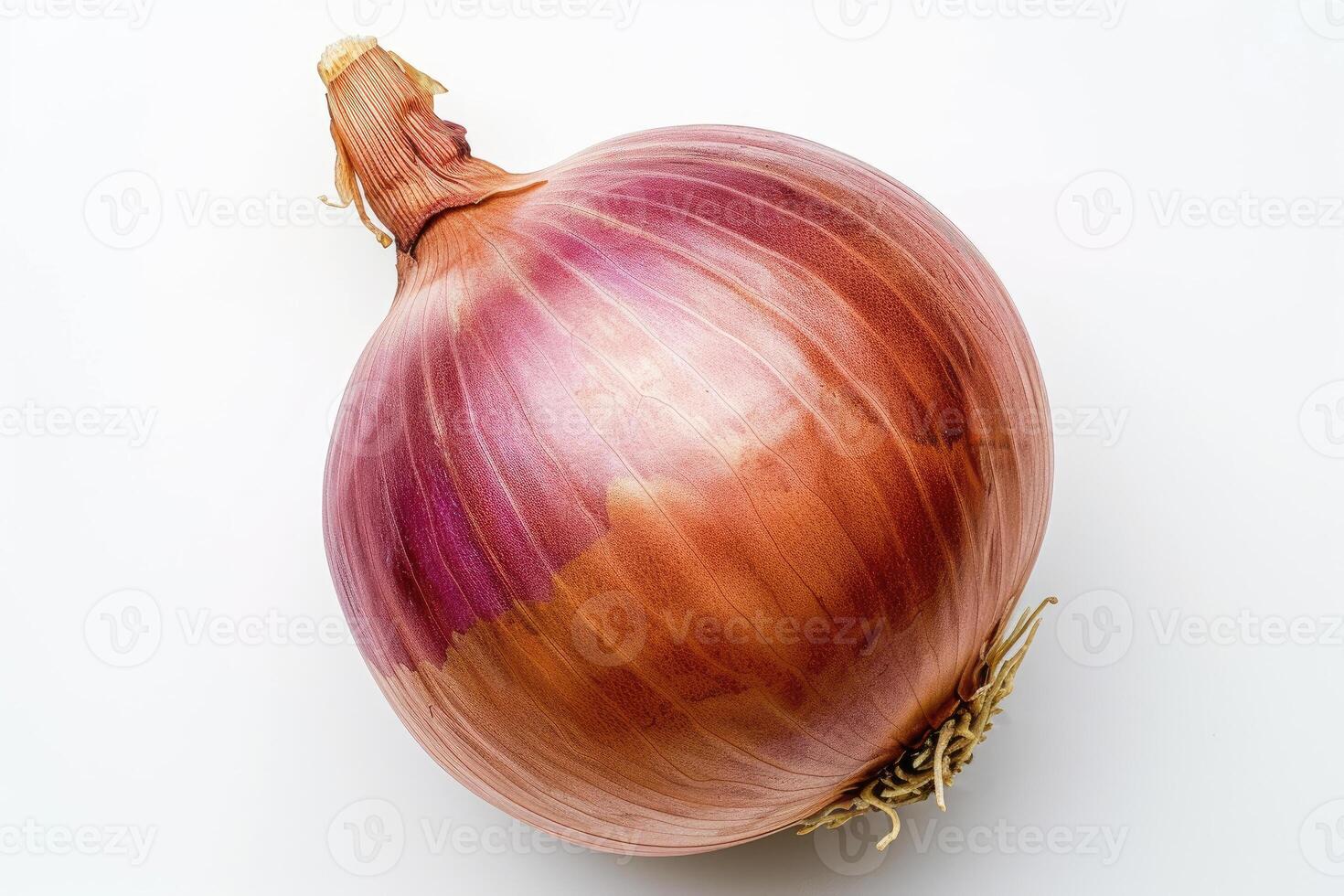 AI generated Close Up of an Onion on a White Background A detailed view of a single onion, showing its layers and texture, set against a plain white background. photo