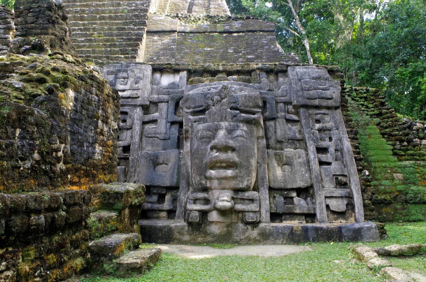 Lamanai archaeological reserve mayan Mast Temple in Belize jungle photo