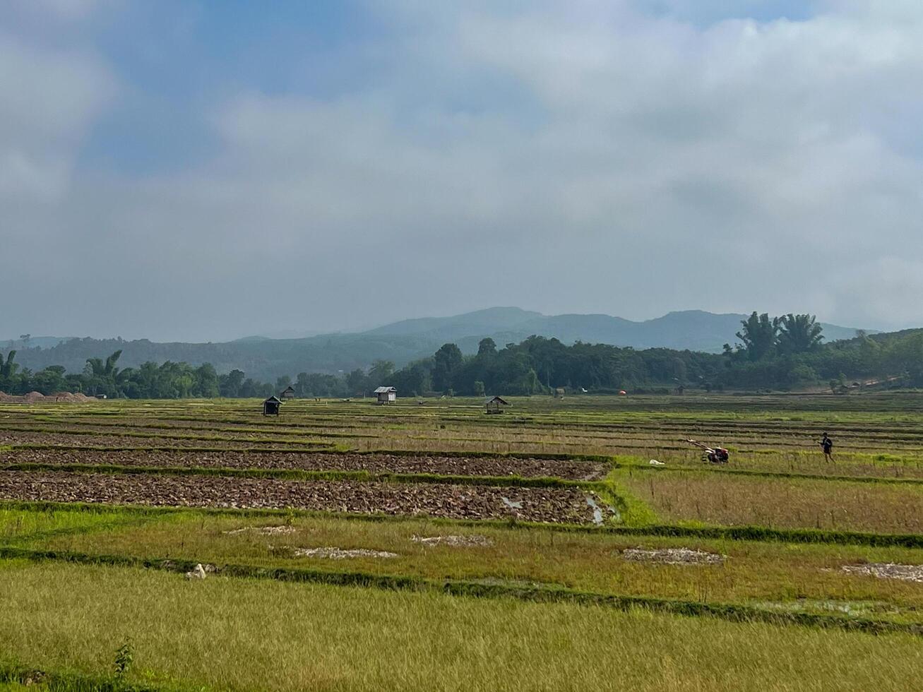 Landscape with cultivated community gardens photo