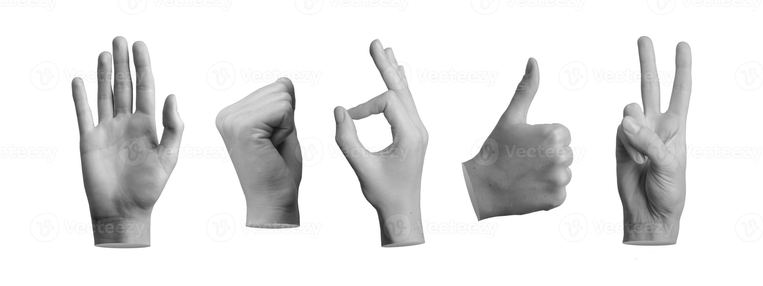 Hand gestures set. Hi, greeting, fist up, okay, thumb up, victory expressions isolated on white photo