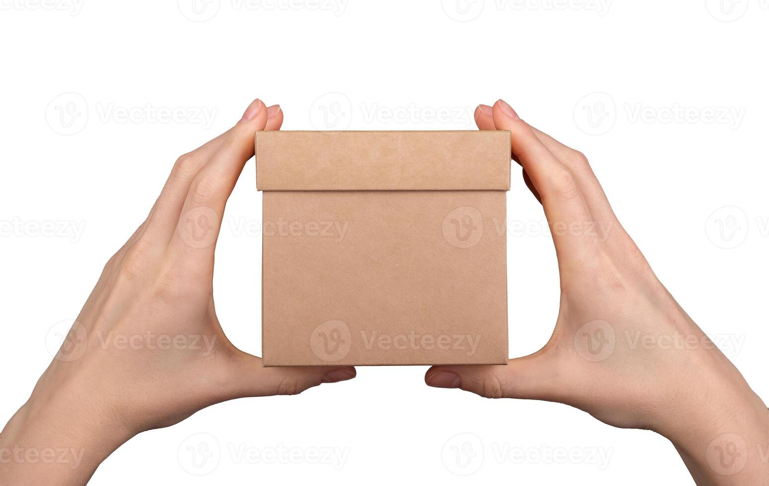 Kraft box in hands isolated isolated on white background photo