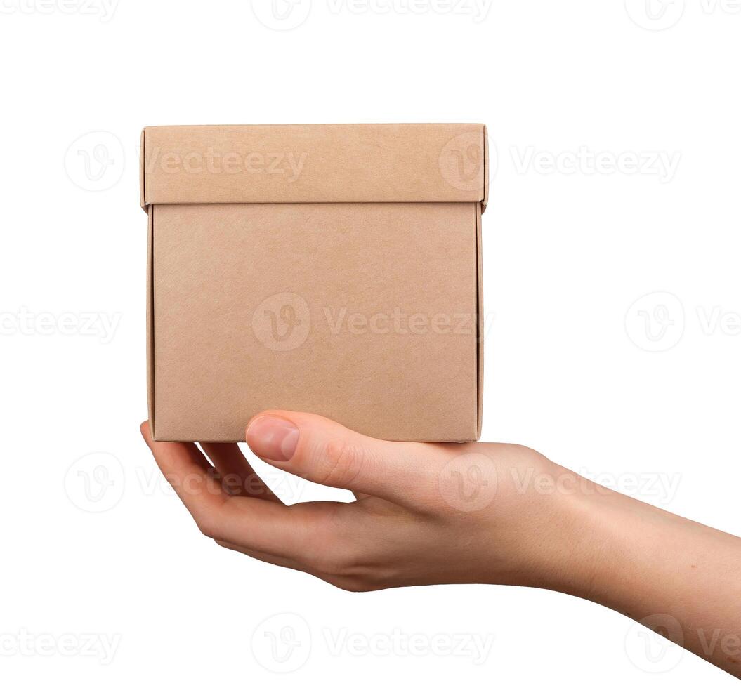 Hand holding kraft gift box, present isolated on white background photo