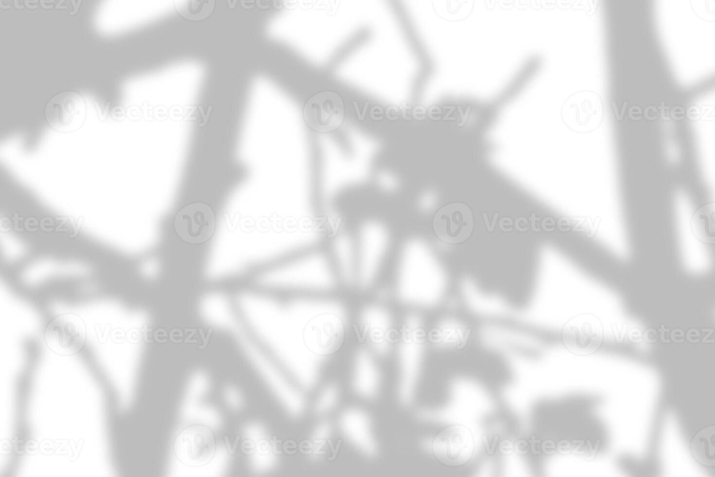 Gray leaves shadow and light blur abstract background on white wall, shadow overlay effect photo
