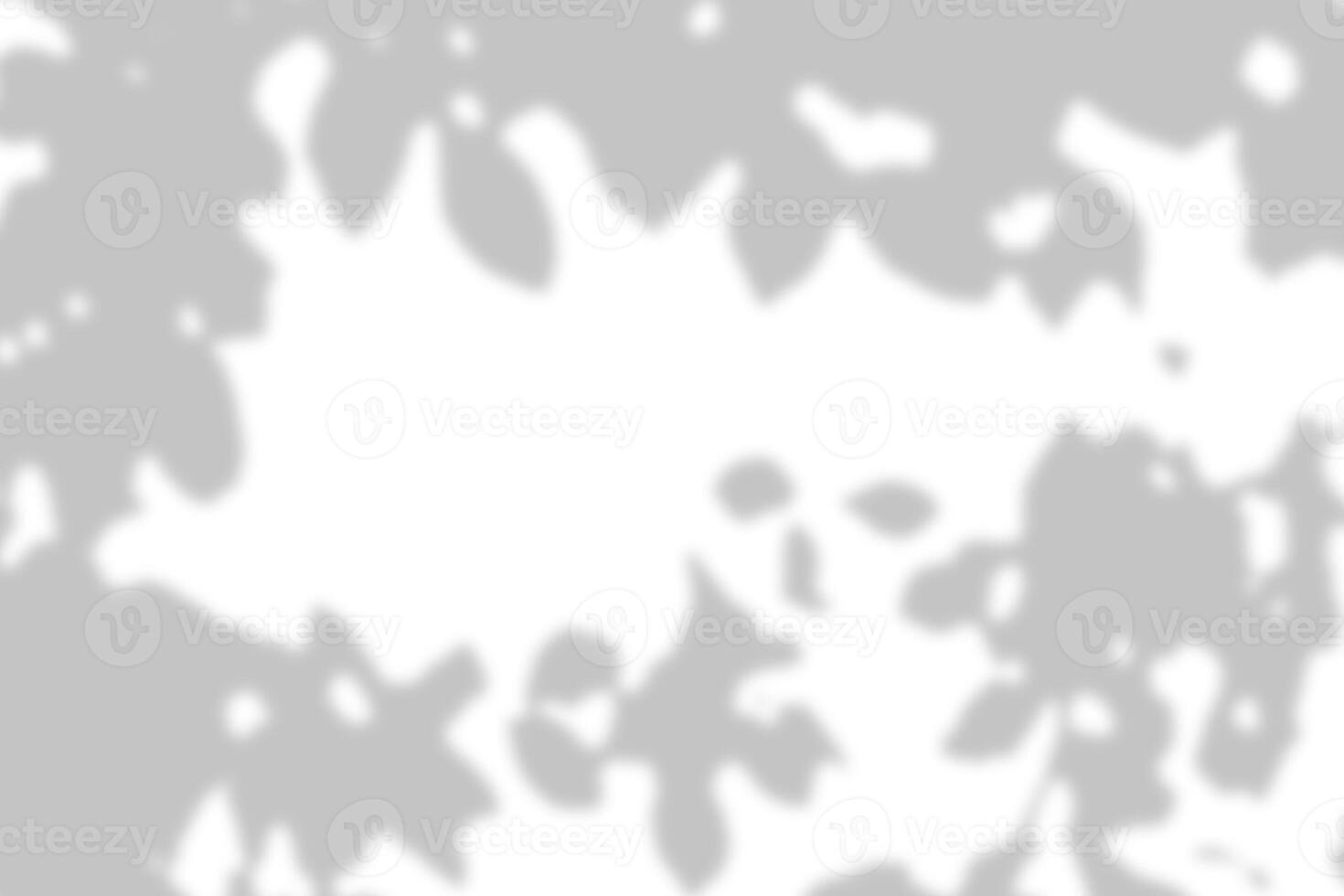 Gray leaves shadow and light blur abstract background on white wall, shadow overlay effect photo