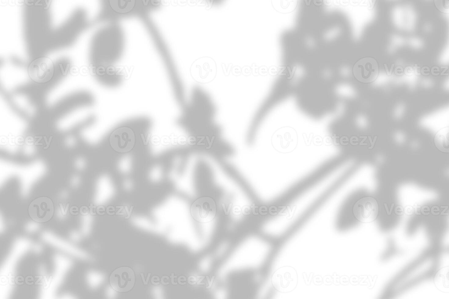 Gray leaves shadow and light blur abstract background on white wall, shadow overlay effect photo