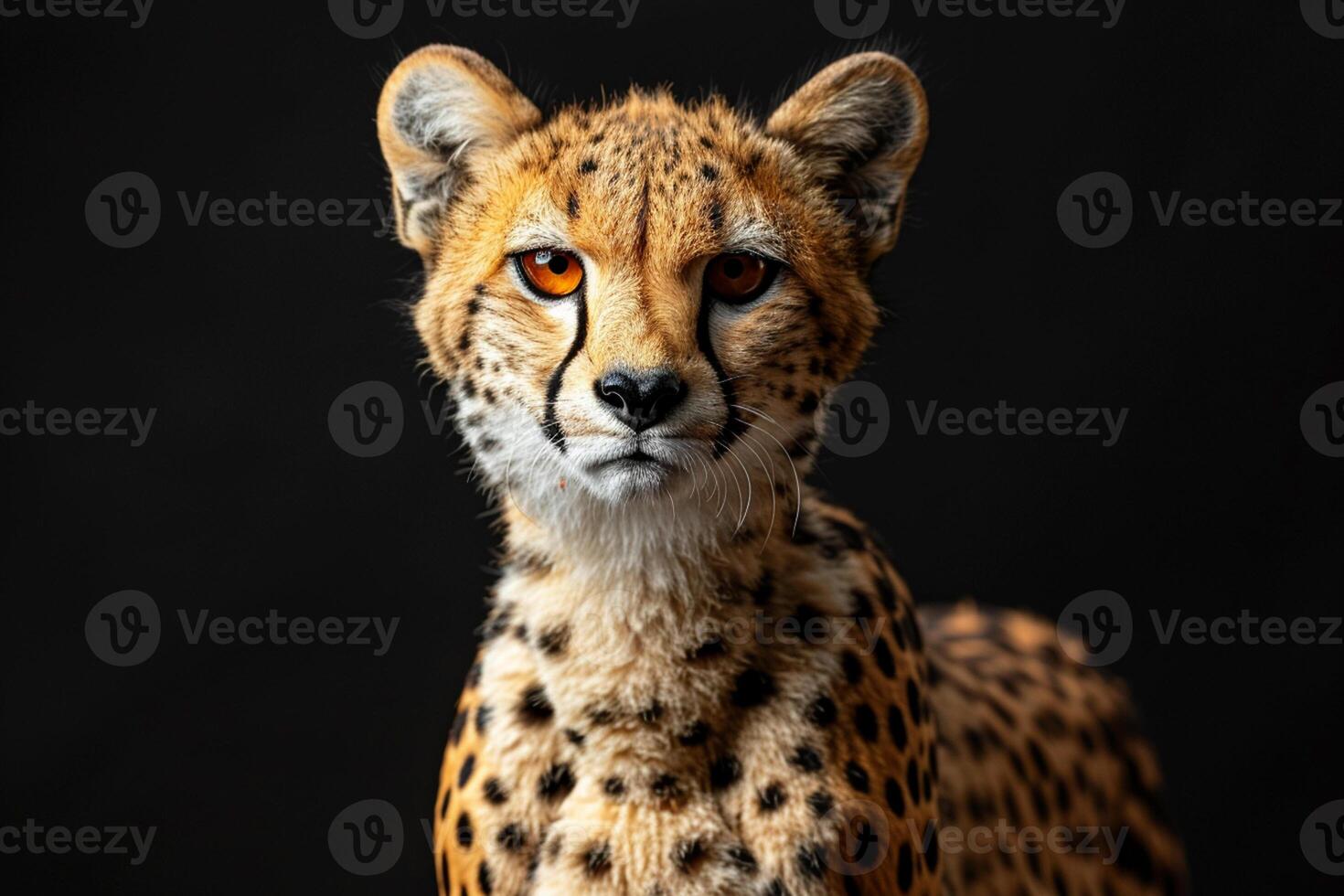 ai generado cerca arriba de leopardo en oscuro fondo, estudio Encendiendo foto