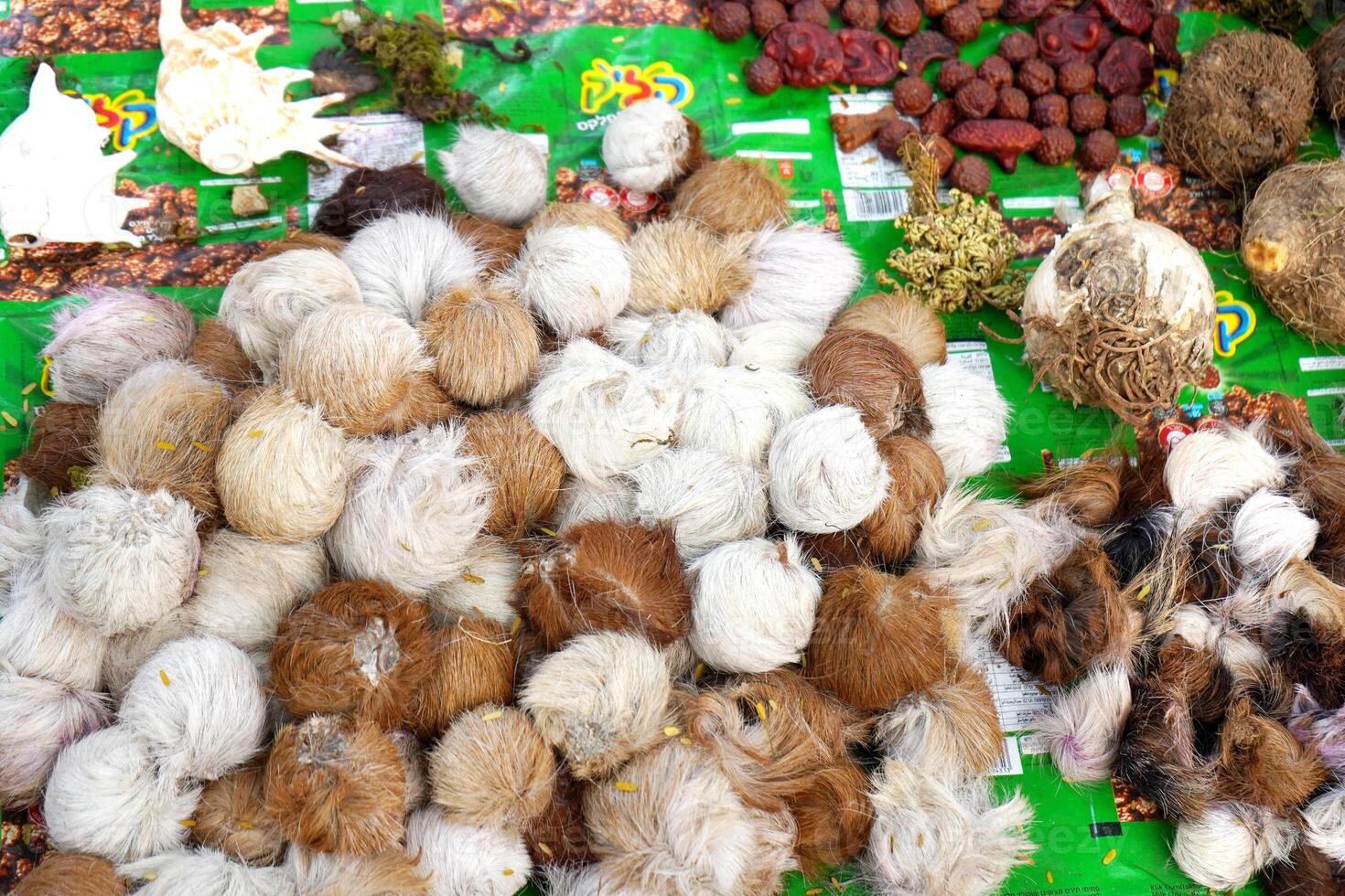 Heap of musk deer glands sell at Kolkata Ganga Sagar Mela Transit Camp photo