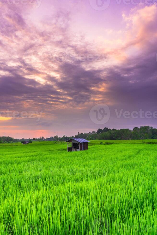 beautiful morning view from Indonesia of mountains and tropical forest photo