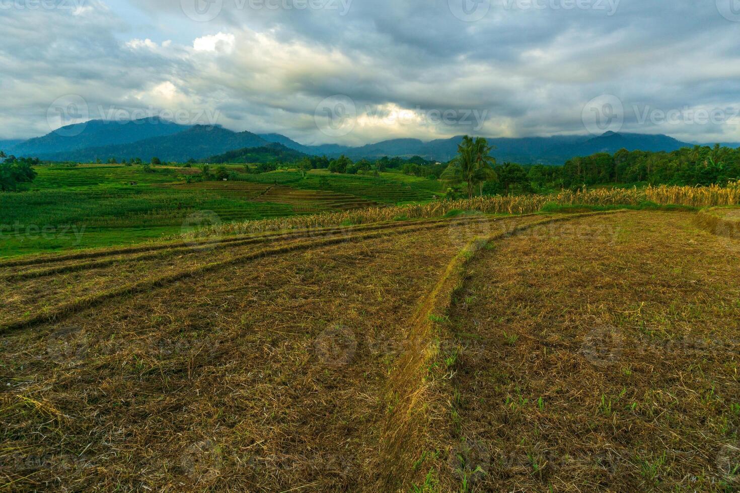 hermosa Mañana ver desde Indonesia de montañas y tropical bosque foto