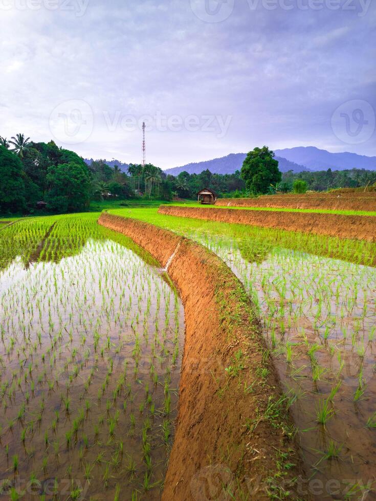 beautiful morning view from Indonesia of mountains and tropical forest photo