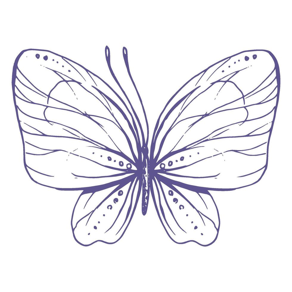 Delicate butterfly with patterns on the wings, simple, sweet, light, romantic. Illustration graphically hand-drawn in lilac ink in line style. Isolated EPS vector object