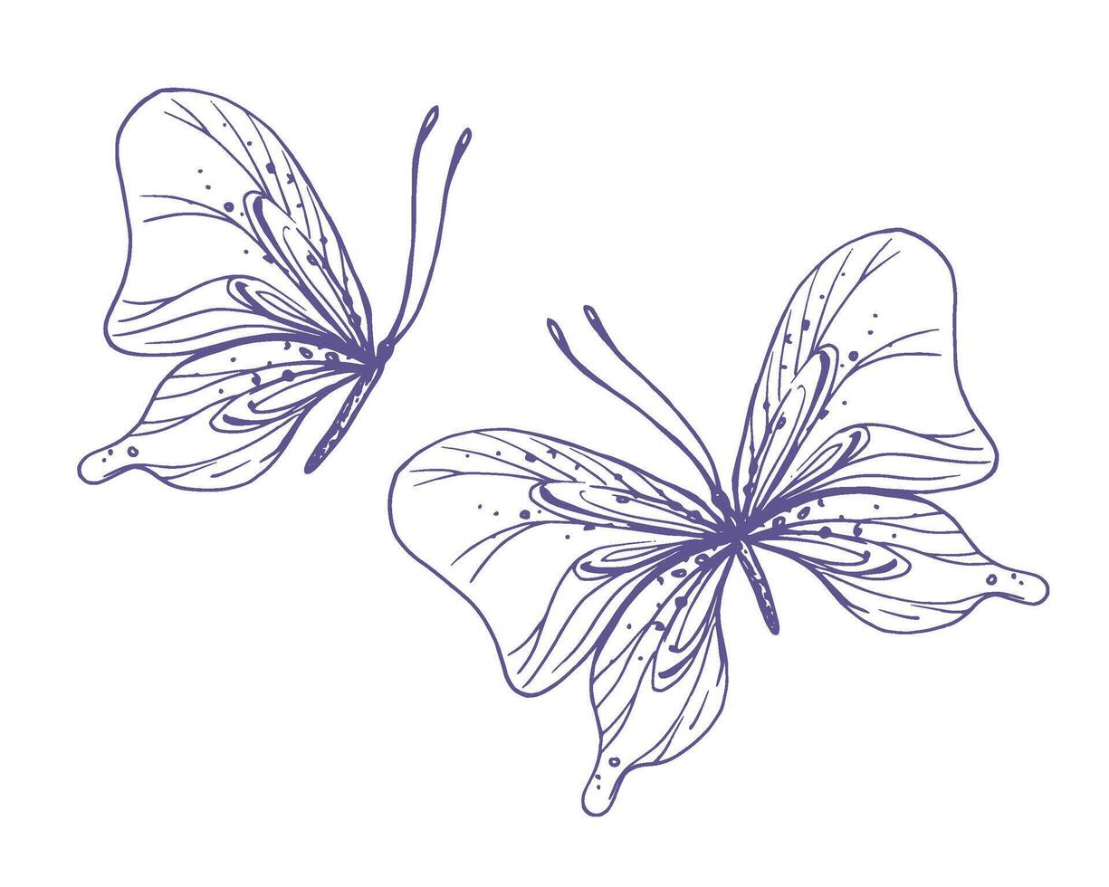 Delicate butterflies with patterns on the wings, simple, sweet, light, romantic. Illustration graphically hand-drawn in lilac ink in line style. Set of isolated EPS vector objects