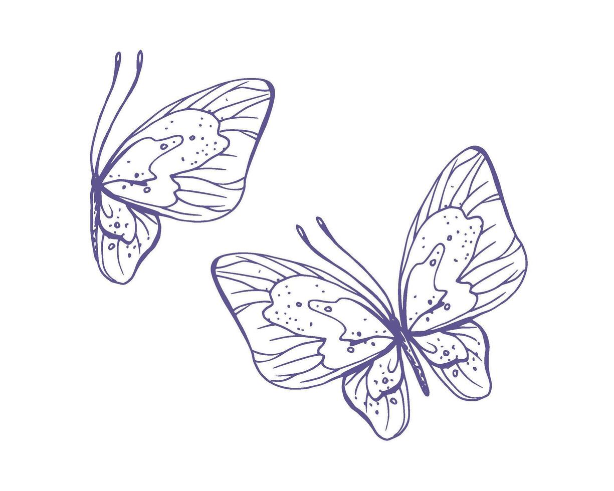 Delicate butterflies with patterns on the wings, simple, sweet, light, romantic. Illustration graphically hand-drawn in lilac ink in line style. Set of isolated EPS vector objects