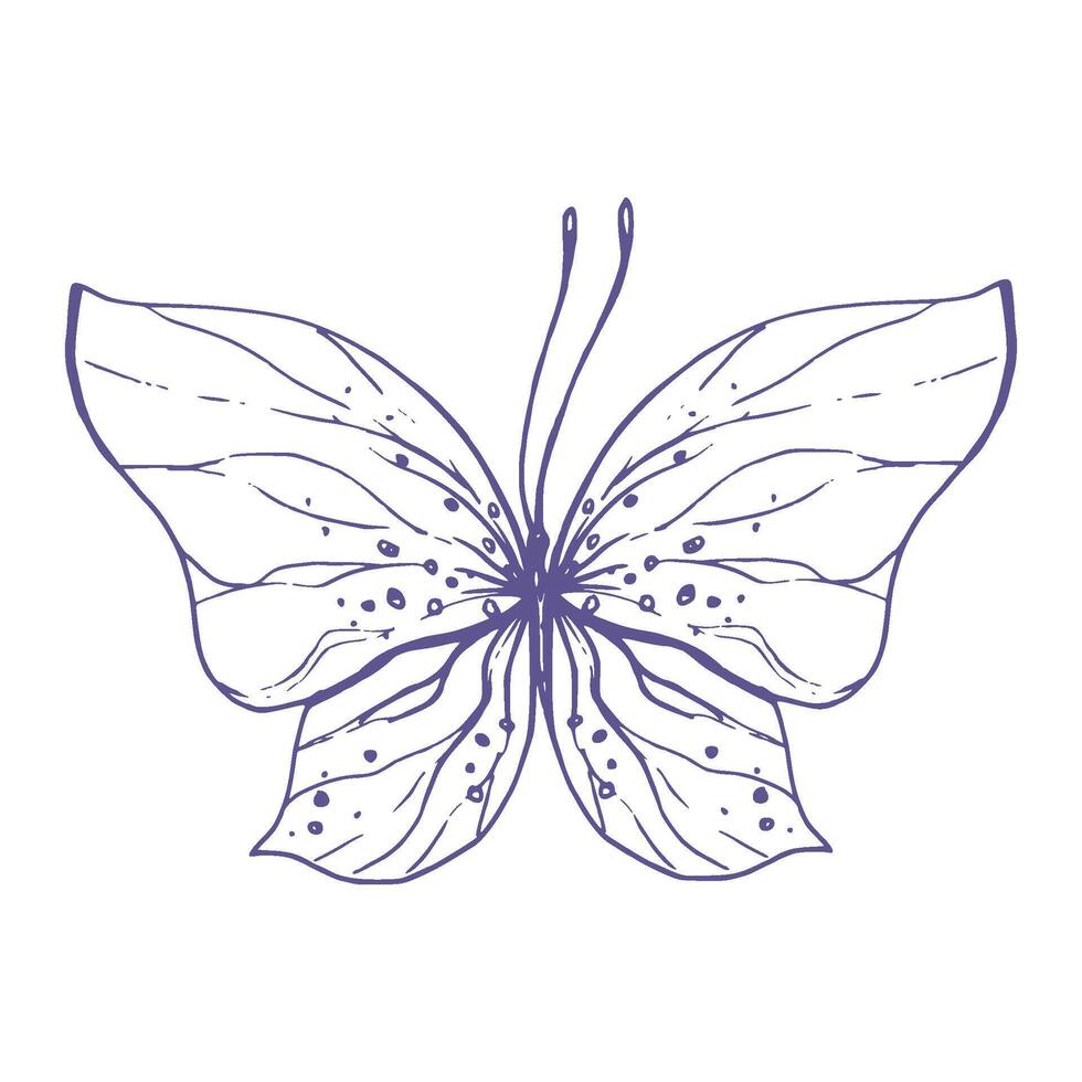 Delicate butterfly with patterns on the wings, simple, sweet, light, romantic. Illustration graphically hand-drawn in lilac ink in line style. Isolated EPS vector object