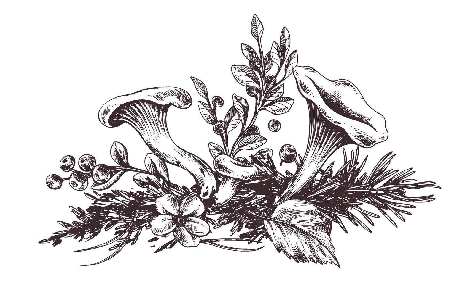 Forest chanterelle mushrooms with blueberry bushes, moss and autumn leaves. Graphic botanical illustration hand drawn in brown ink. For packaging, autumn festival, harvest. Isolated composition vector