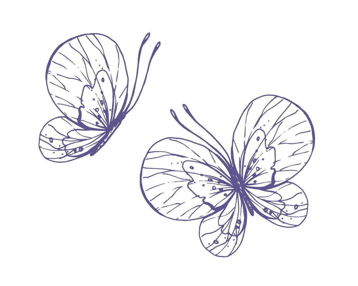 Delicate butterflies with patterns on the wings, simple, sweet, light, romantic. Illustration graphically hand-drawn in lilac ink in line style. Set of isolated EPS vector objects