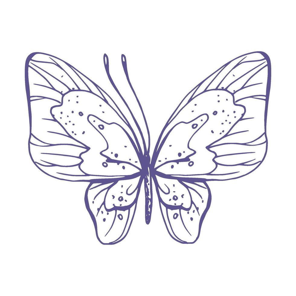 delicado mariposa con patrones en el alas, simple, dulce, luz, romántico. ilustración gráficamente dibujado a mano en lila tinta en línea estilo. aislado eps vector objeto