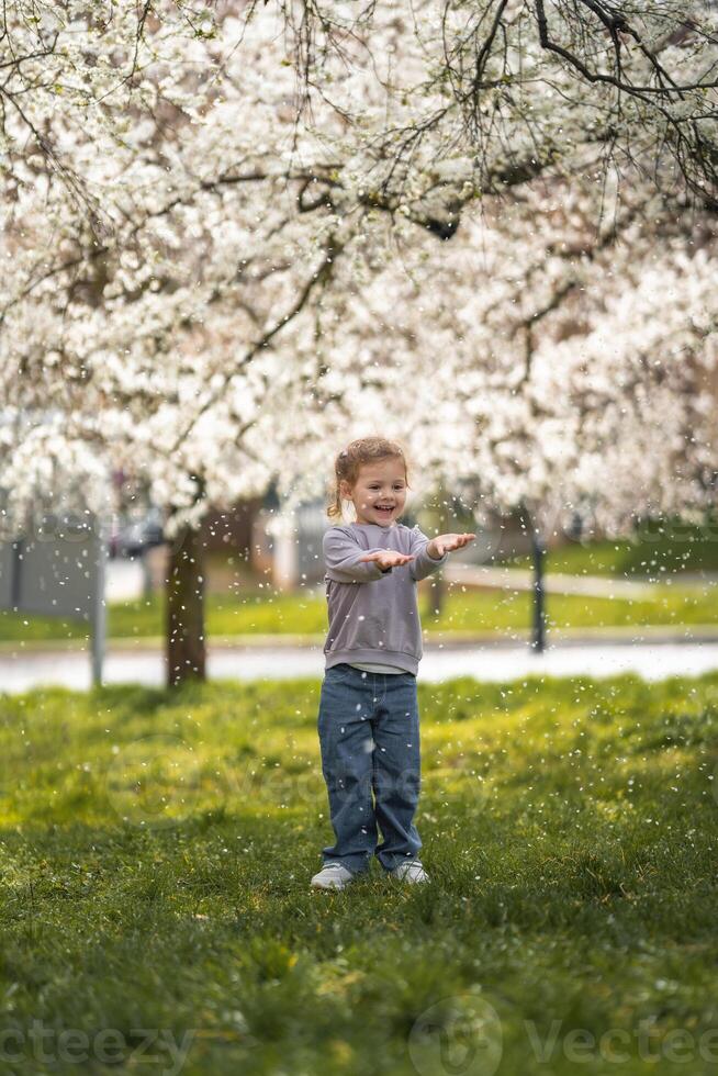 Little girl stands under a blooming apple tree. The wind blows and flower petals fly like snow in Prague park, Europe photo